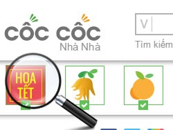Coc coc tìm chợ hoa, hình nền tết, lời chúc tết coc coc tim cho hoa, hinh nen tet, loi chuc tet