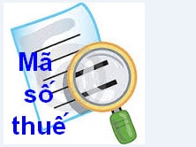 Kiểm tra mã số thuế cá nhân tra cuu ma so thue
