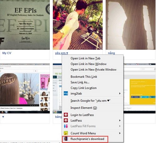 tai anh facebook bằng fluschipranie