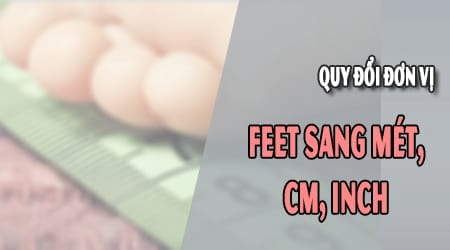 doi 1 feet bang bao nhieu met cm inch