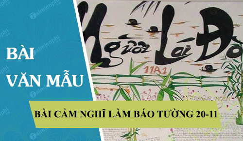 bai cam nghi lam bao tuong 20-11