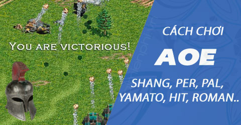 cach choi cac loai quan trong de che