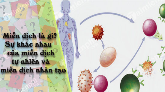 mien dich la gi su khac nhau cua mien dich tu nhien va mien dich nhan tao