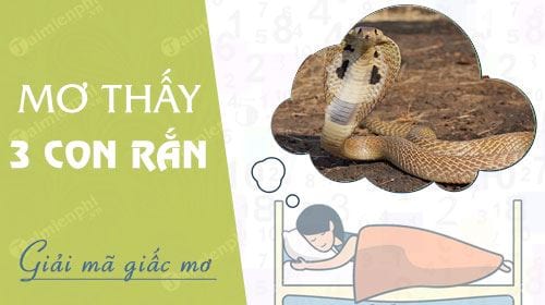 nam mo thay 3 con ran