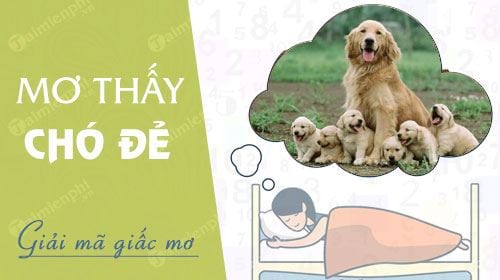 nam mo thay cho de sinh con