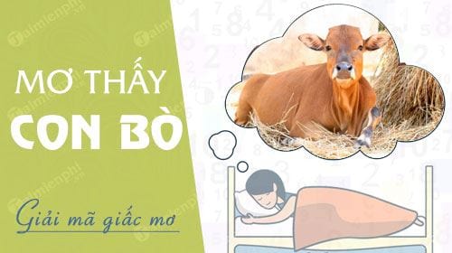 nam mo thay con bo nguu