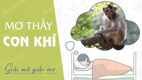 nam mo thay con khi