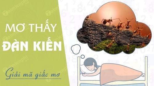 nam mo thay dan kien