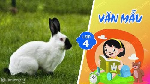van mau ta con tho lop 4