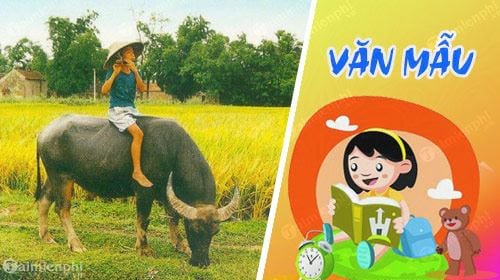 van mau ta con trau o lang que viet nam lop 4
