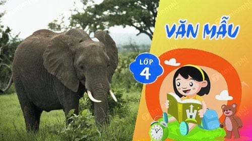van mau ta con voi trong vuon bach thu lop 4