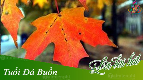 loi bai hat tuoi da buon