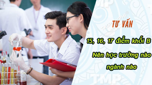 thi duoc 15 16 17 diem khoi b nen hoc truong nao nganh nao