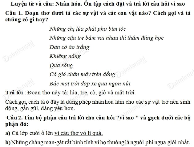 soan bai luyen tu va cau nhan hoa on tap cach dat va tra loi cau hoi vi sao