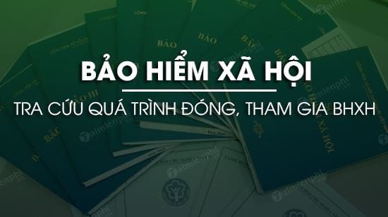 huong dan tra cuu qua trinh dong thue tham gia bhxh