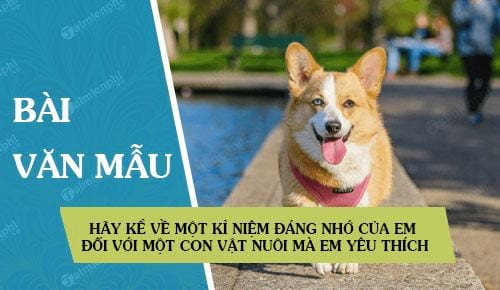 hay ke ve mot ki niem dang nho cua em doi voi mot con vat nuoi ma em yeu thich