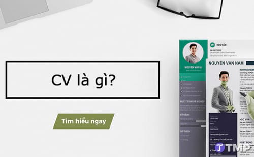 Mau cv xin viec gom nhung gi