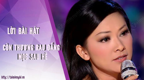 loi bai hat con thuong rau dang moc sau he