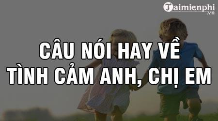 nhung cau hoi hay ve tinh cam anh em chi em y nghia cam dong