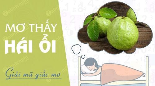 nam mo thay hai oi hai trom oi