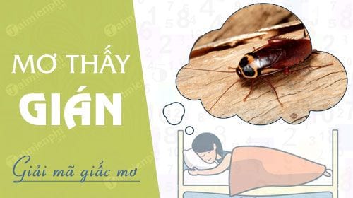 nam mo thay gian gian can bo len nguoi