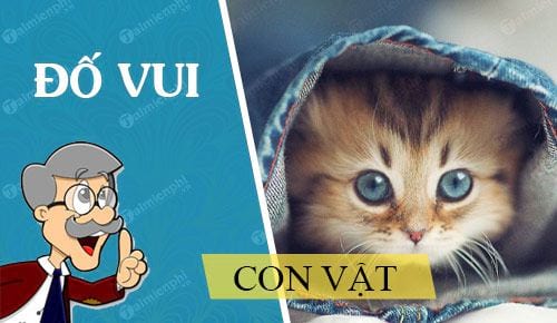 cau do vui ve con vat hay nhat