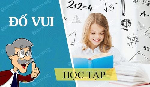 cau do vui ve hoc tap hay nhat