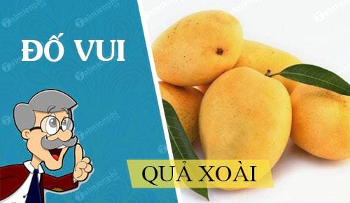 cau do vui ve qua xoai hay nhat