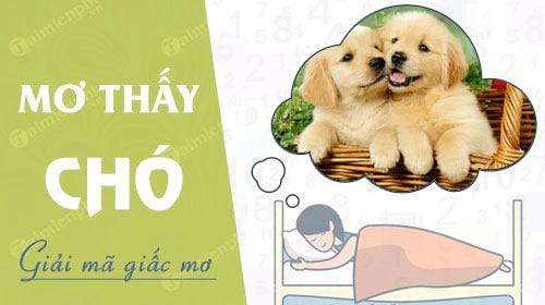nam mo thay cho