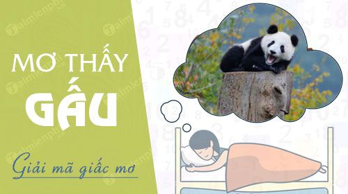 nam mo thay gau