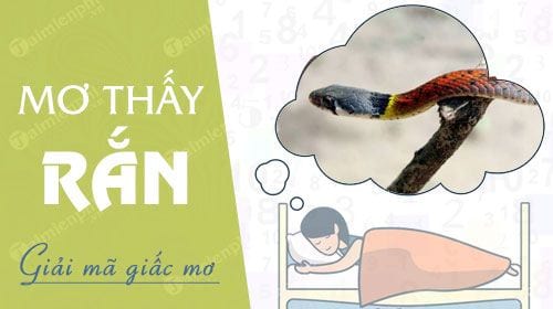 nam mo thay ran