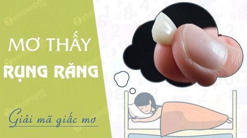 nam mo thay rung rang