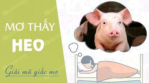 nam mo thay lon heo danh con gi diem bao gi