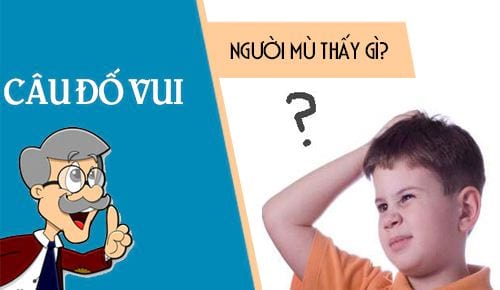 cau do meo co mot nguoi mu di bo quanh thanh pho hoi nguoi do thay gi