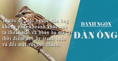 nhung cau danh ngon dan ong hay nhat