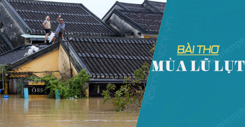 bai tho ve ngap nuoc mua mua bao