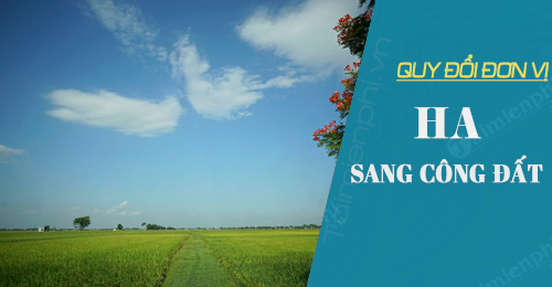 1 ha bang bao nhieu cong