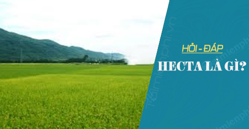 hecta la gi