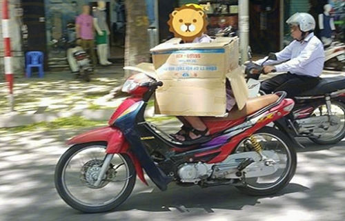 hinh anh hai huoc chi co o viet nam