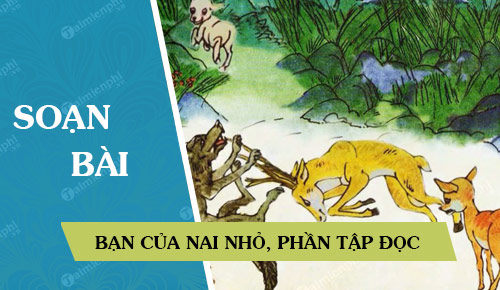 soan bai ban cua nai nho phan tap doc