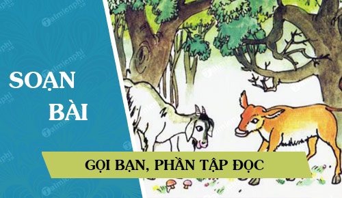 soan bai goi ban phan tap doc