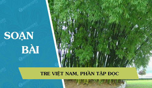 soan bai tre viet nam phan tap doc