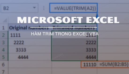 ham trim trong excel vba