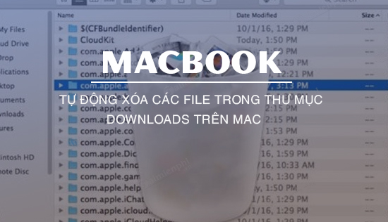 Tự động xóa các file trong thư mục Downloads trên Mac