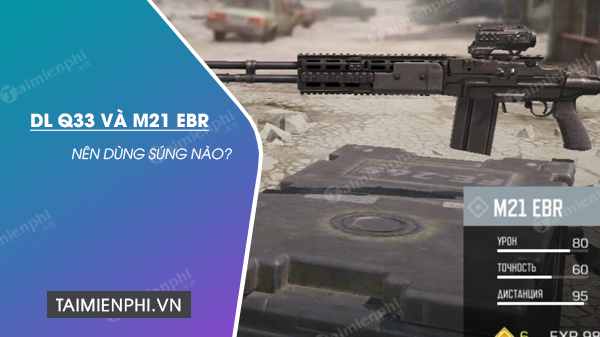 So sánh súng DL Q33 và M21 EBR, súng nào đáng để sử dụng?