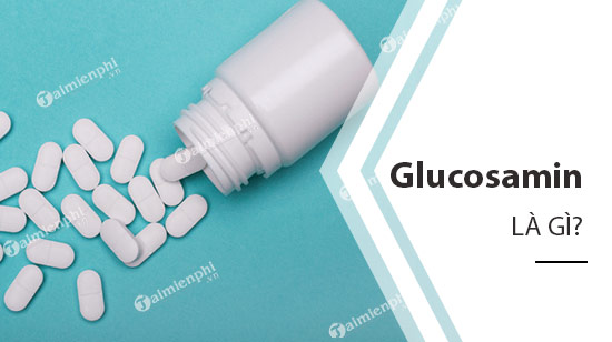 Glucosamin là gì? chức năng, phân loại