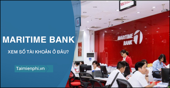 Cách xem số tài khoản Maritime Bank ở đâu?