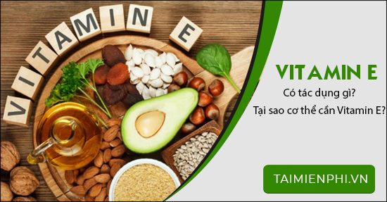 vitamin e có tác dụng gì? tại sao cơ thể cần vitamin e?