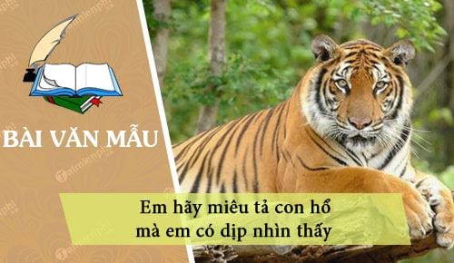 3 Bài văn Em hãy miêu tả con hổ mà em có dịp nhìn thấy – Thủ thuật
