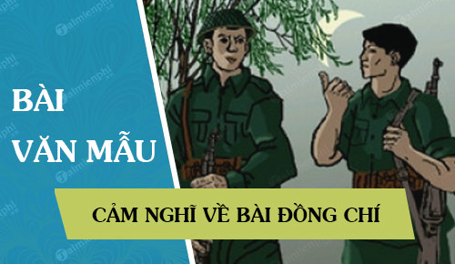 Cảm nghĩ về bài Đồng chí